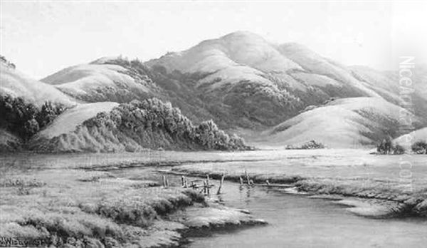 Marin Landscape - view 1