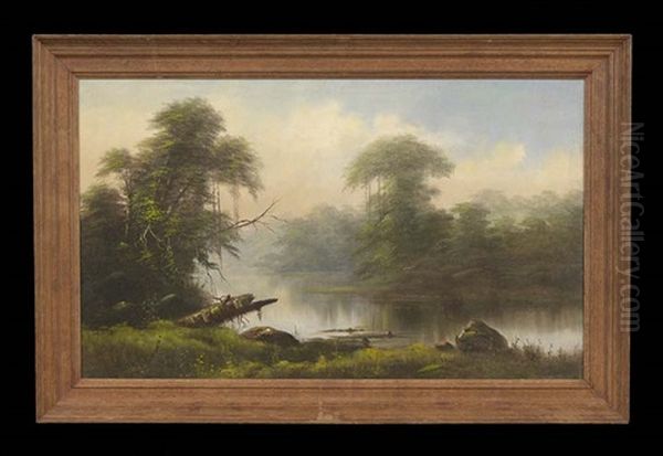 Louisiana Bayou Landscape - view 1