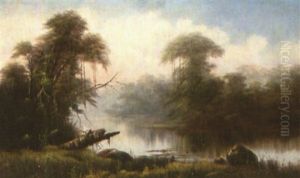 The Bayou Louisiana