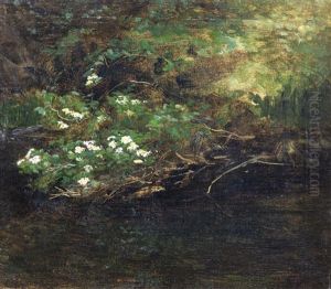 Bachufer Mit Blumen Bachufer Mit Blumen
