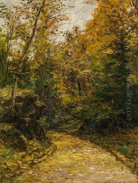 Autumn Forest, "weg Zum Park Des Erzherzog Josef In Alcsut" - view 1