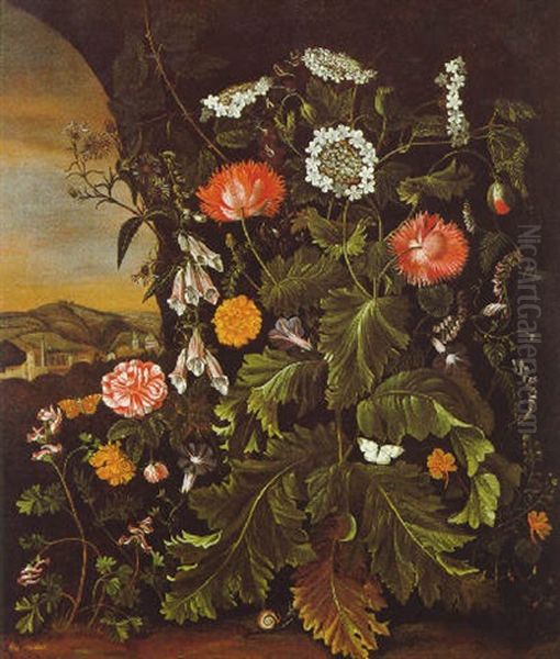 Blumen In Einem Waldgrund - view 1