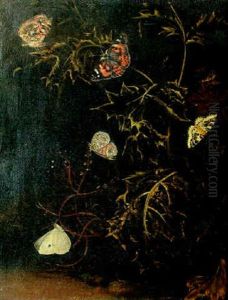 Nature Morte Aux Chardons Et Papillons Nature Morte Aux Chardons Et Papillons