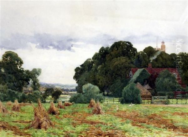 Cornfield With Farm Beyond - view 1
