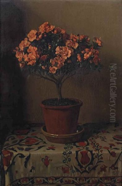 Pot Met Roode Azalia's: Red Azalea In A Pot - view 1