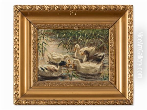 Ducks In The Pond - view 1