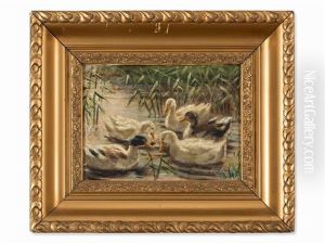 Ducks In The Pond by Reinhold De Witt