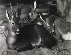 Rehe Im Herbst