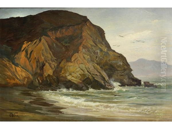 Rocky Coast With Birds - view 1