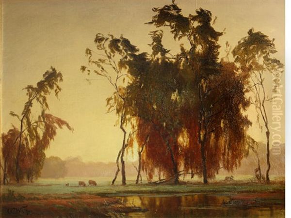 Buffaloes Grazing Under Trees At Sunset - view 1