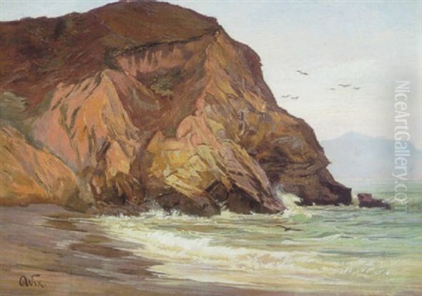 Rocky Coast With Birds - view 1