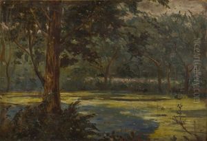 Forest Landscape Forest Landscape