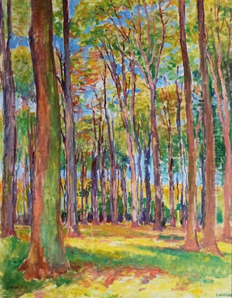 Forest In Himmelpforten In Spring - view 1