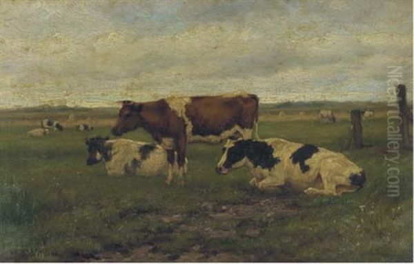 Cattle In A Meadow - view 1
