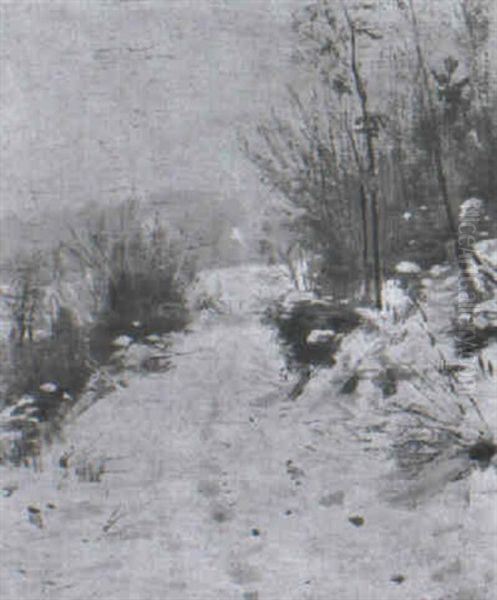 Feldweg In Winterlandschaft - view 1