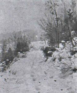 Feldweg In Winterlandschaft Feldweg In Winterlandschaft