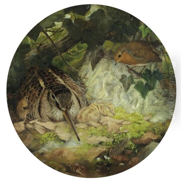 A Woodcock With Its Young And A Robin - view 1