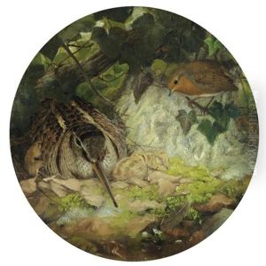 A Woodcock With Its Young And A Robin