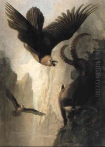 Bearded Vultures Attacking An Alpine Ibex by Josef Wolf