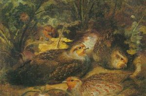 Partridges In A Field Of Beet by Josef Wolf