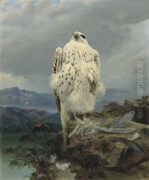 A Gyrfalcon In An Extensive Mountainous Landscape - view 1