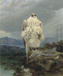 A Gyrfalcon In An Extensive Mountainous Landscape A Gyrfalcon In An Extensive Mountainous Landscape