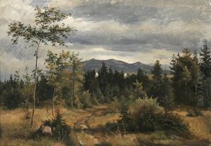 Schwarzwaldlandschaft Schwarzwaldlandschaft