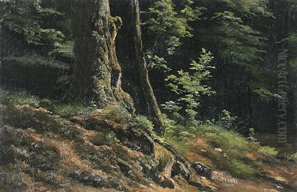 Am Waldrand - view 1