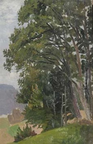 Laubbaume - view 1
