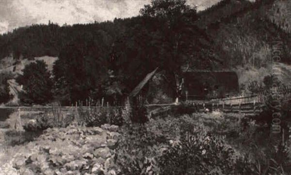 Landscape - view 1