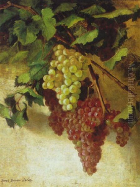 Still Life Of Grapes - view 1