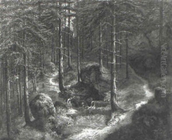 Die Quelle Im Wald - view 1
