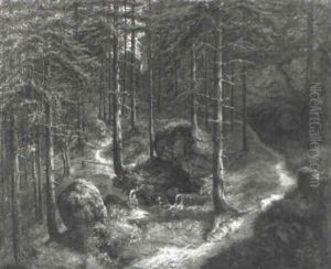 Die Quelle Im Wald