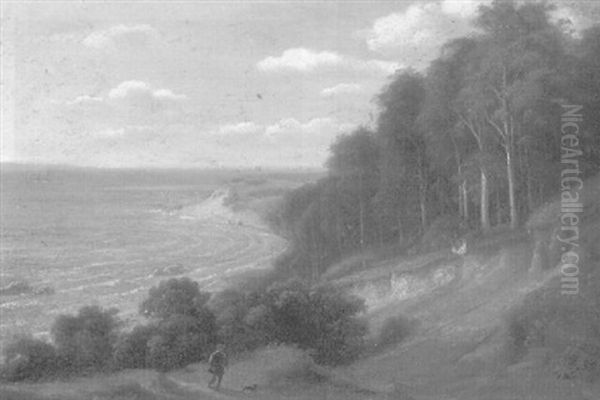 Bewaldete Ostseesteilkuste Mit Jager - view 1