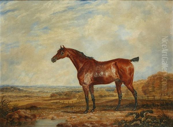Bay Hunter Before A Parkland View - view 1