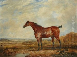 Bay Hunter Before A Parkland View