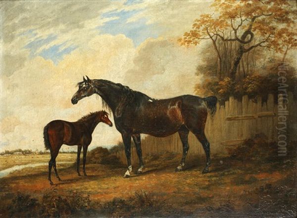 Horse And Foal In A Parkland Setting - view 1