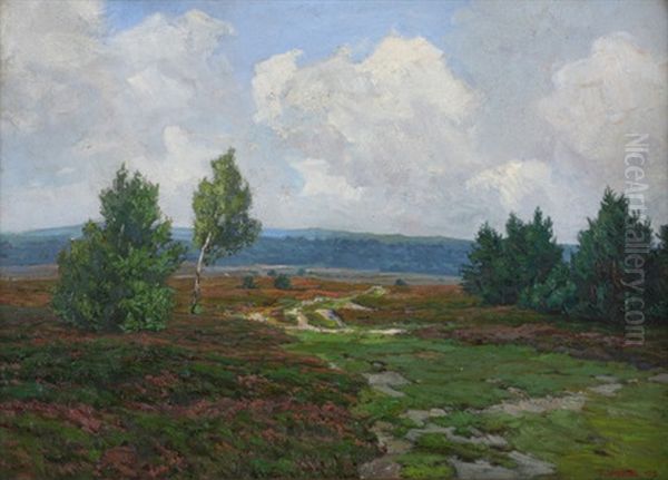 Am Kottenforst (heidelandschaft Bei Bonn) - view 1