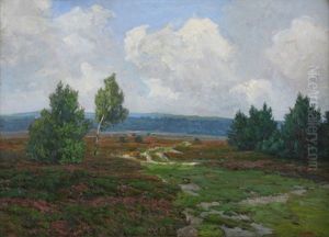 Am Kottenforst (heidelandschaft Bei Bonn)