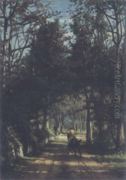 Cantering Through Woodland - view 1