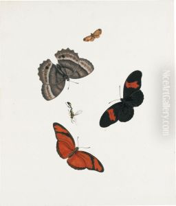 Three Butterflies, A Moth And A Wasp