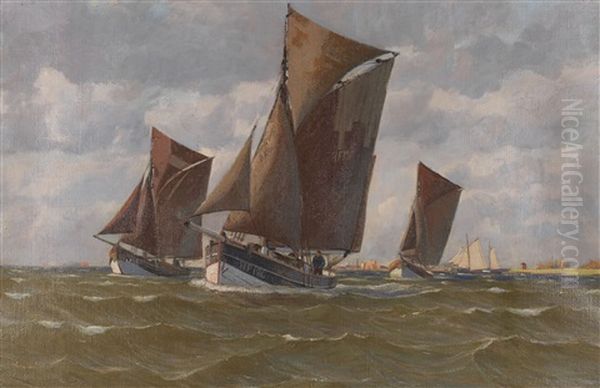 Ruckkehr Der Finkenwerder Fischkutter Auf Der Unterelbe - view 1