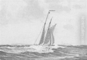 Segelyacht Vor Helgoland