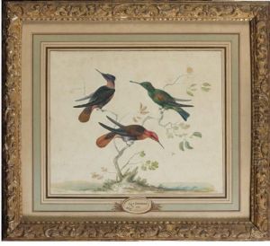 Trois Oiseaux Branches by Johannes Bronkhorst