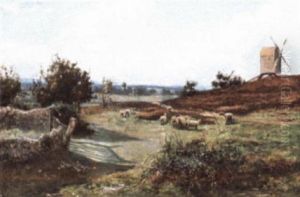 Flock Of Sheep In Extensive Summer Landscape by Emmi Stewart Wood