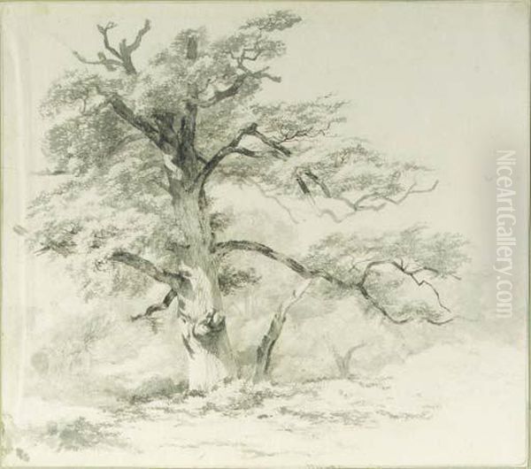 A Watermill Among Trees - view 1