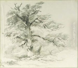 A Watermill Among Trees by Albertus Brondgeest