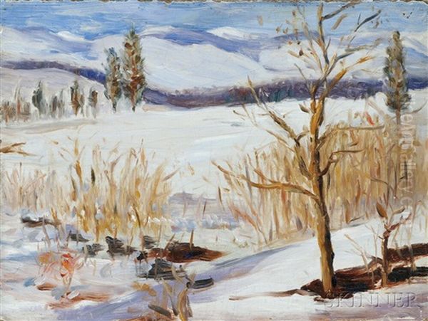 Winter Thaw - view 1