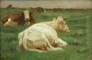 Cattle Resting In An Open Field by Ogden Wood