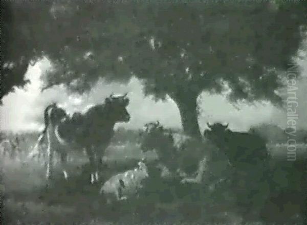 Cattle Resting. - view 1